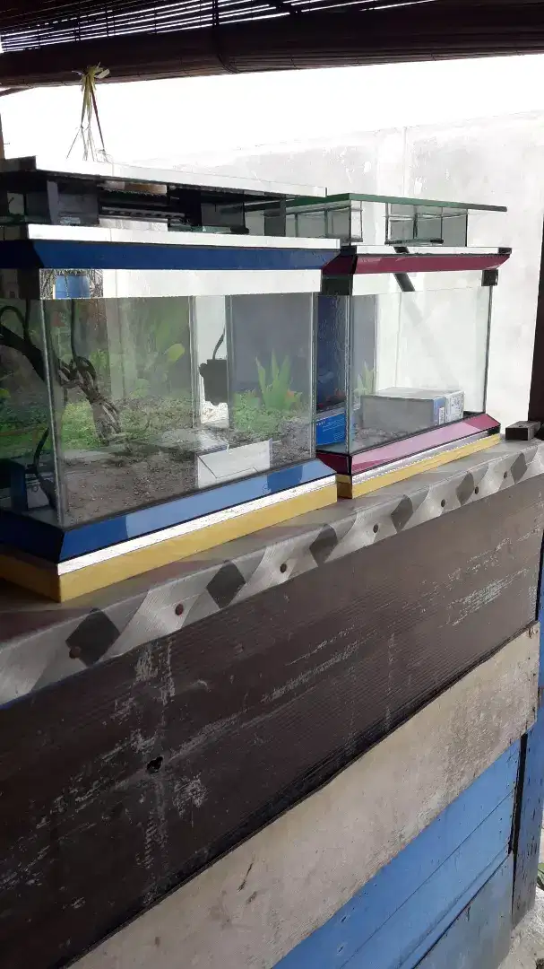 Aquarium fullset  40x30x35