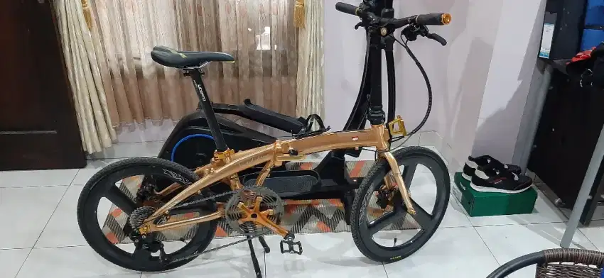 Seli gold limited edition carbon (boleh tt)