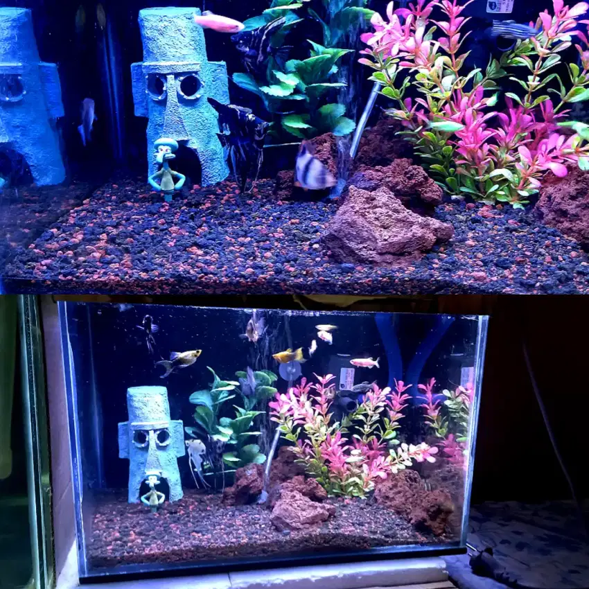 Aquarium aquascape baru fullsett