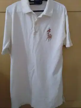 KAOS POLO ORIGINAL