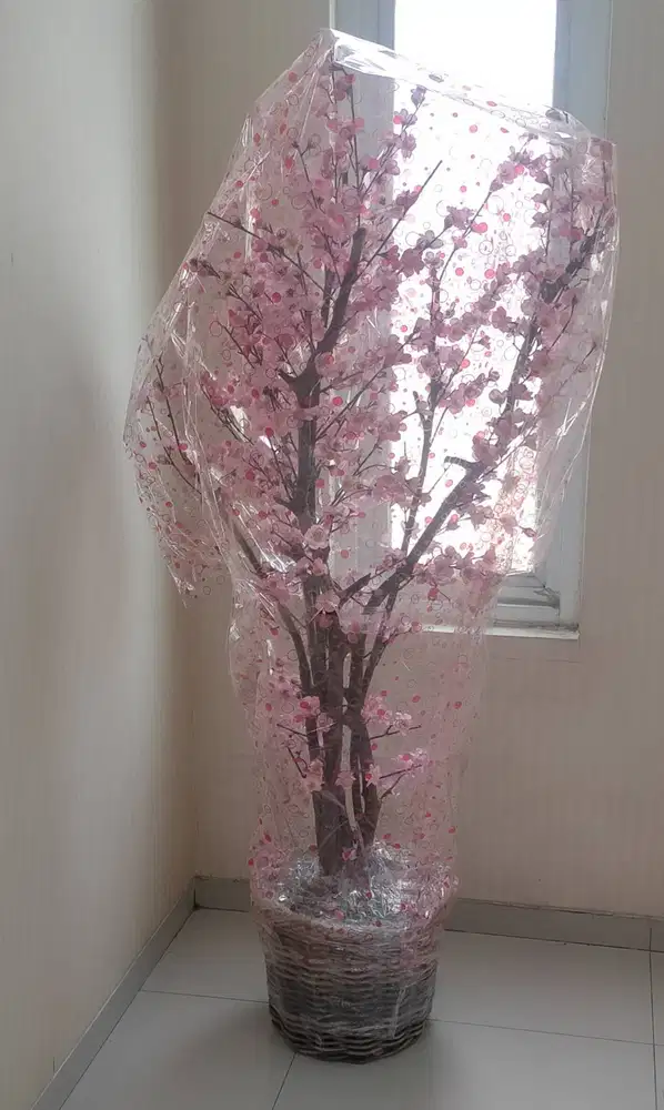 dijual bunga meihua uk.besar