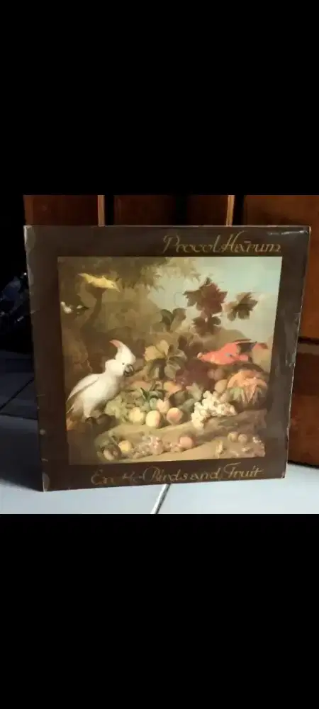 Vinyl piringan hitam band rock lawas