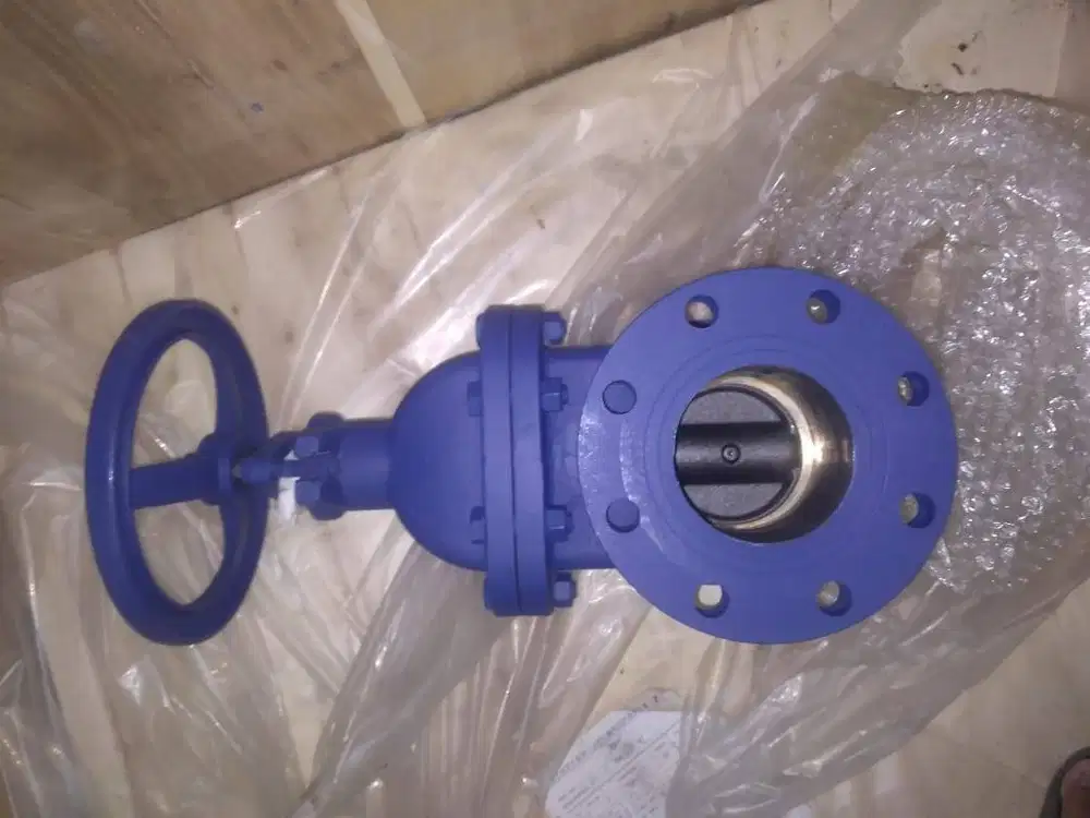 GATE VALVE 8 INCH
