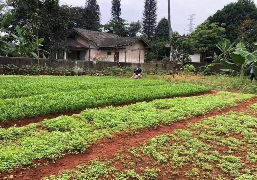 Dijual tanah dekat pintu tol (BU)