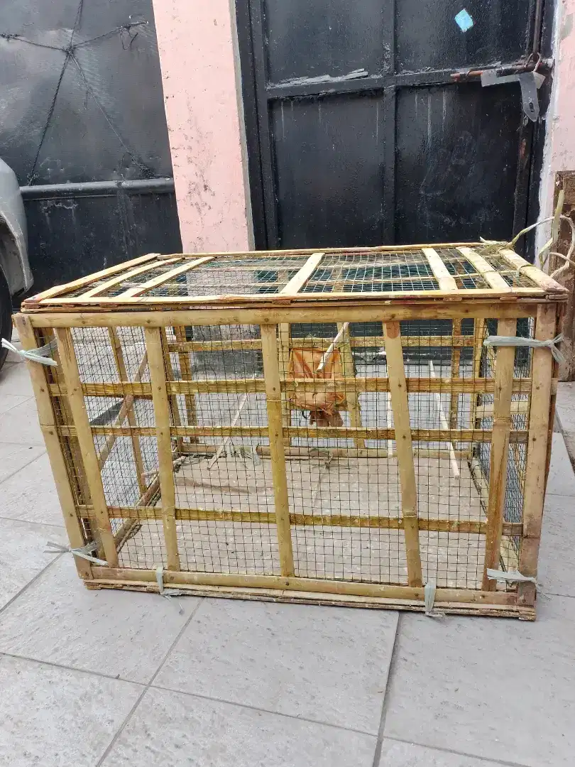 Kandang burung ayam dari bambu