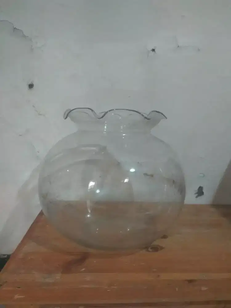 Akuarium Ukuran Besar Jenis Bulat/ Toples Diameter Sktr 35 cm.
