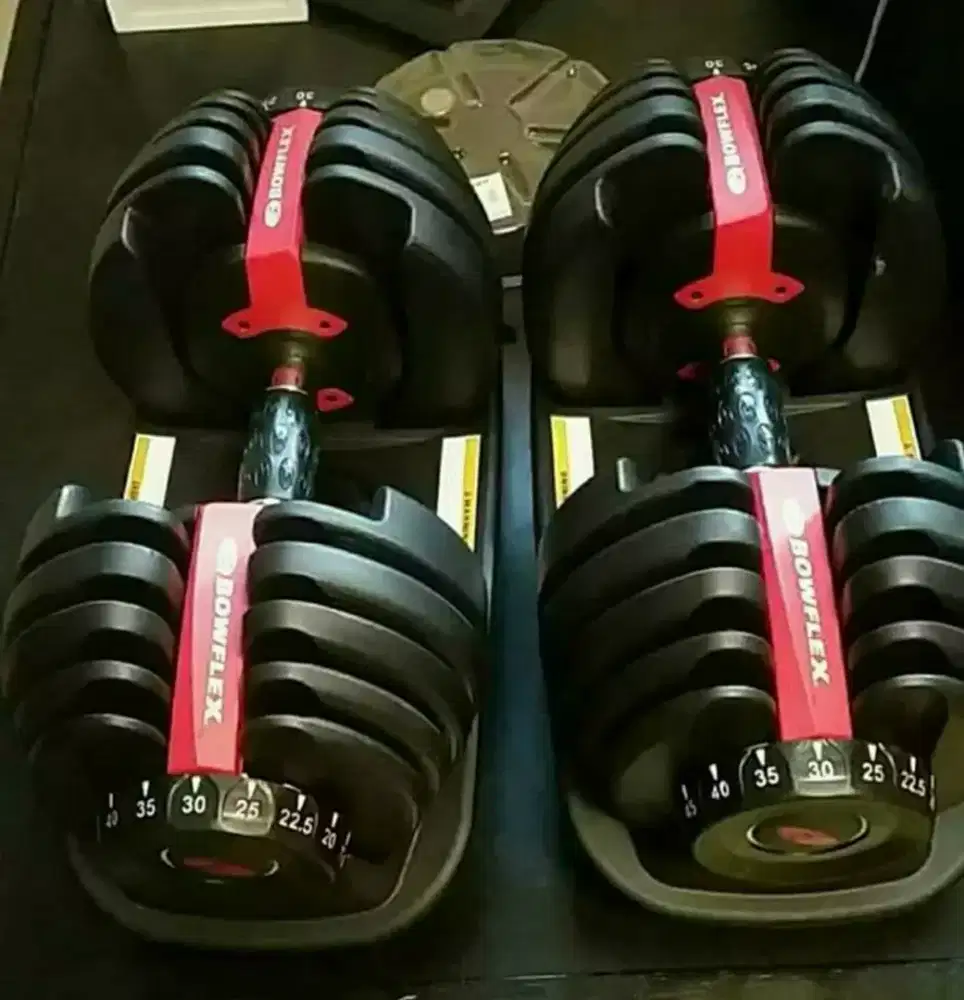 Bowflex Dumbell SelectTech 552i Dumbel Dumbell Fitness Lepas Pasang.