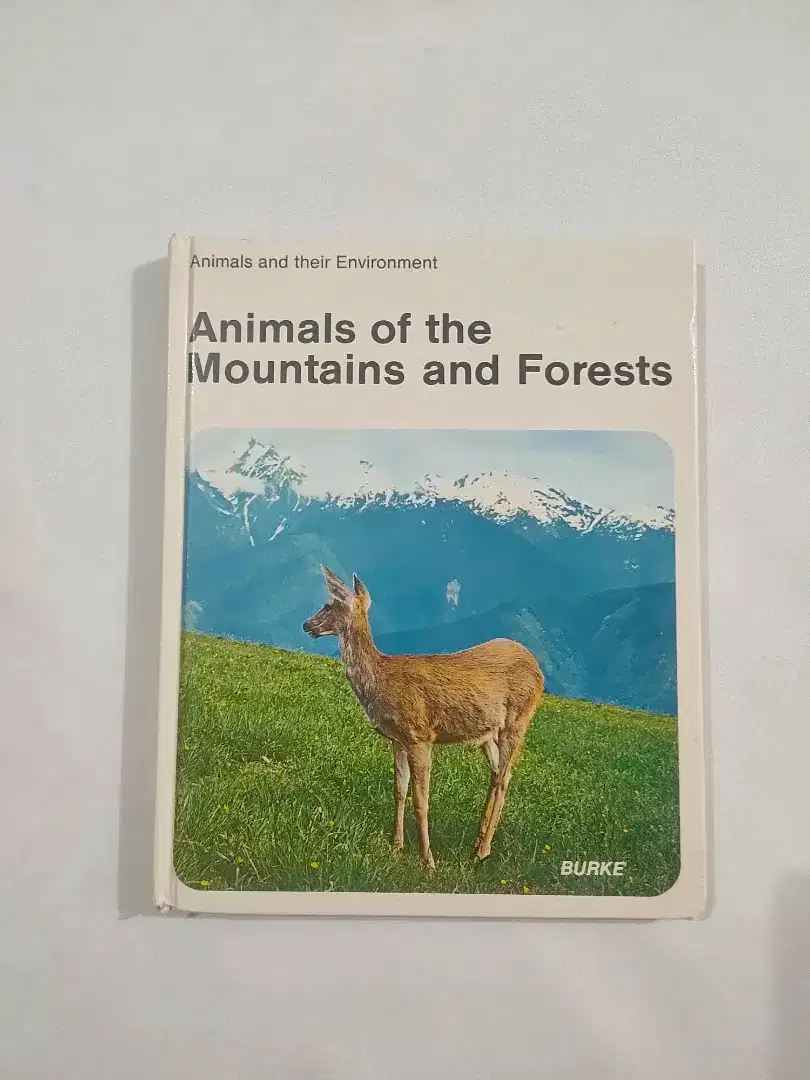 Buku anak import Animals of the mountains and forest