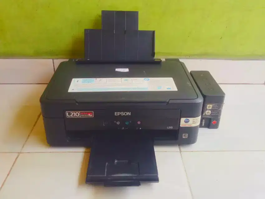 Printer epson L210 no minus