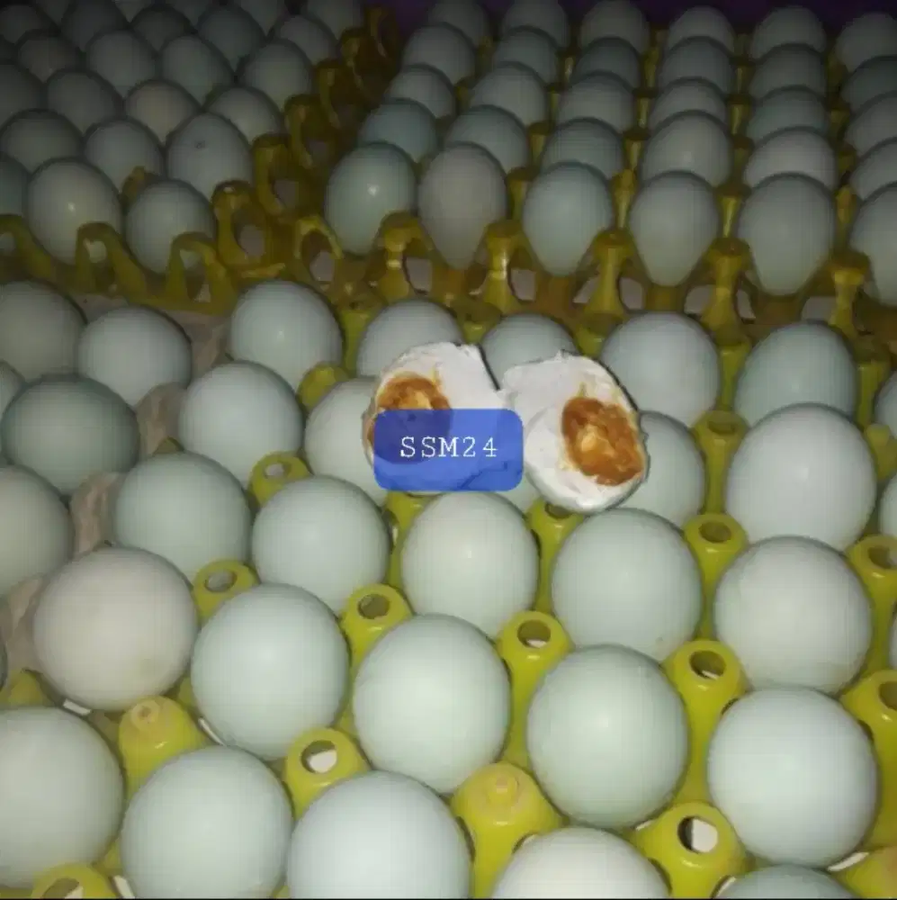 Terlaris Telor Asin Uenak Bisa Dikirim Keseluruh Indonesia