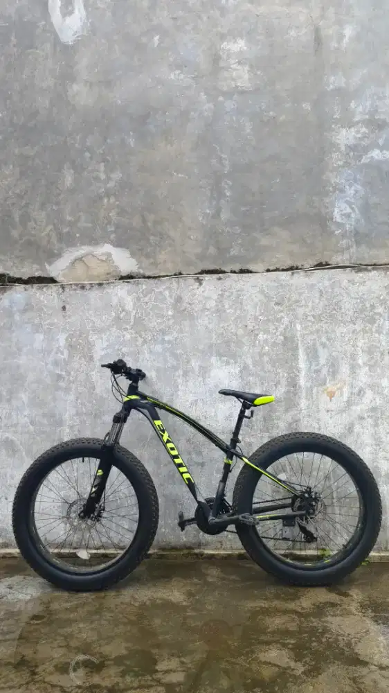 Sepeda gunung exotic, fatbike (ban besar)