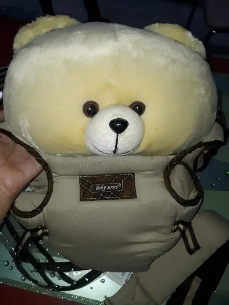 Baby Carrier Brand New