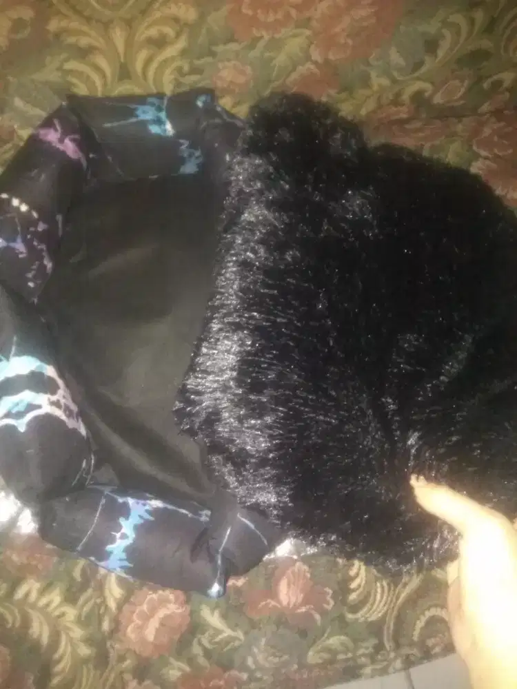 Tatakan tidur untuk hewan kucing doggie