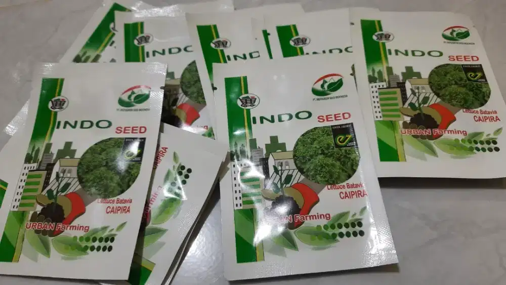 Benih Original Pack Import & Lokal