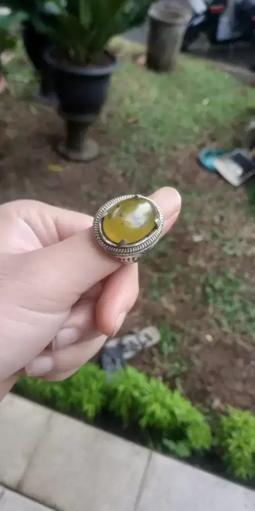 Cincin batu Biosolar