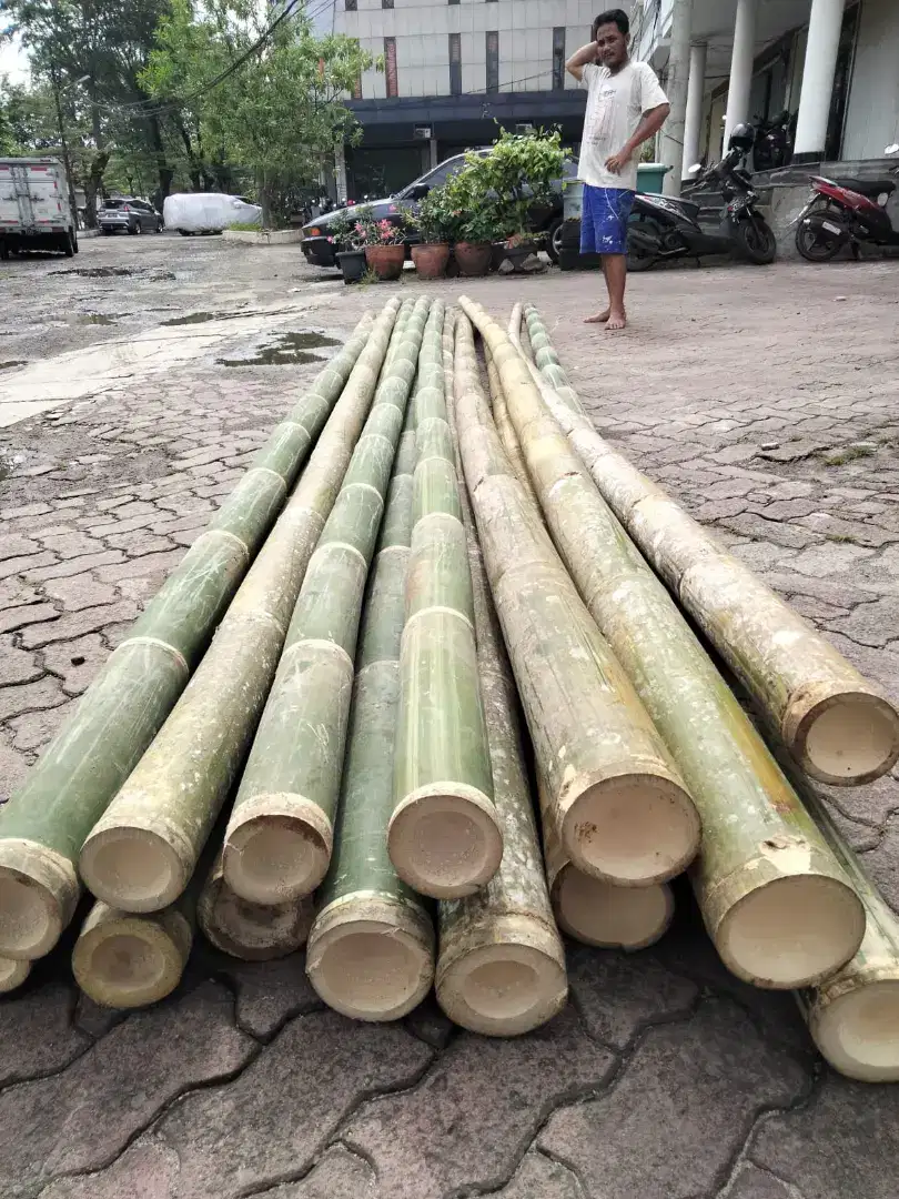 Jual bambu steger kaso triplek