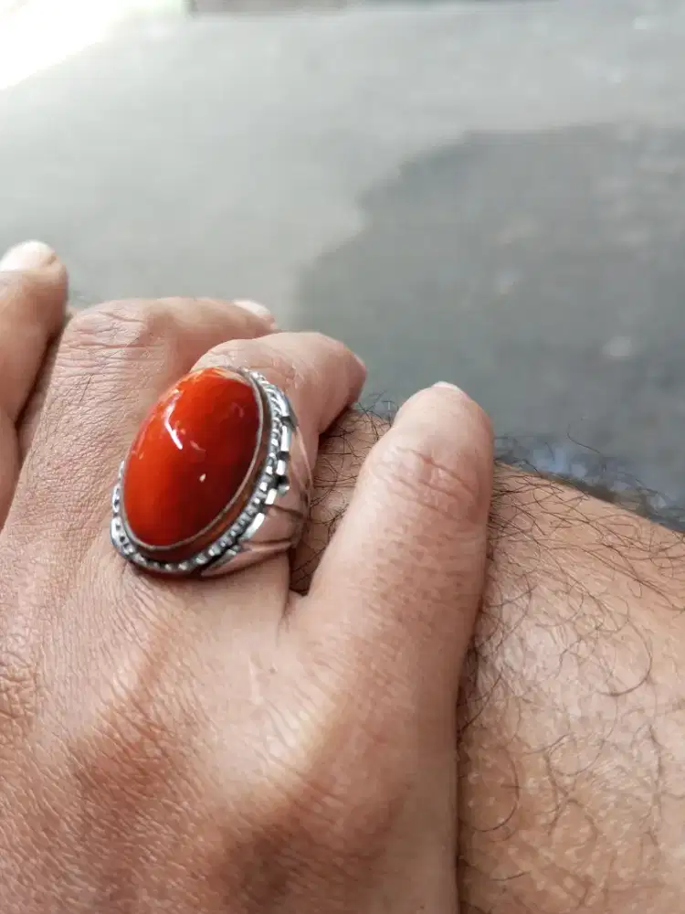 Pandan redis sisik betok