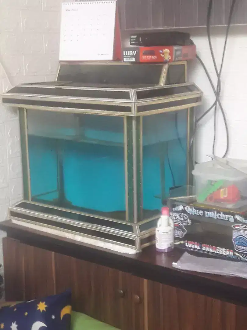 Aquarium air tawar