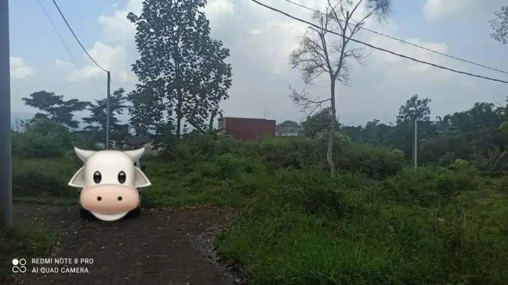 Tanah Panderman Mountain Dresel, Oro Oro Ombo Kota Batu (Dekat BNS)