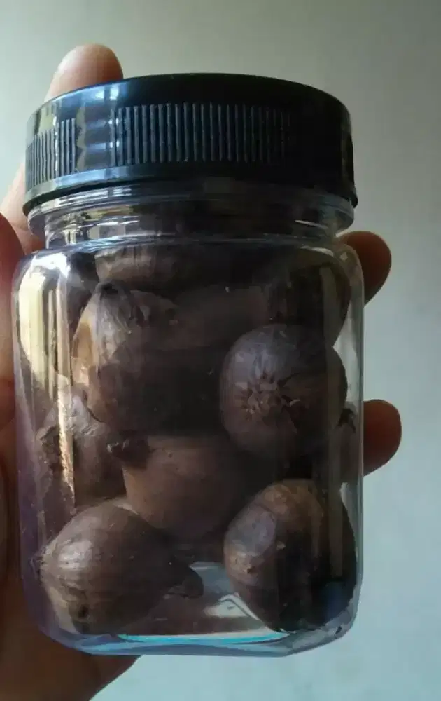 Black Garlic (Bawang Hitam Tunggal)