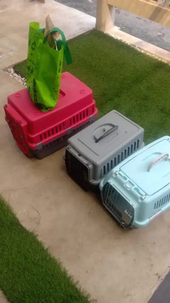 Penitipan & Grooming khusus kucing depok