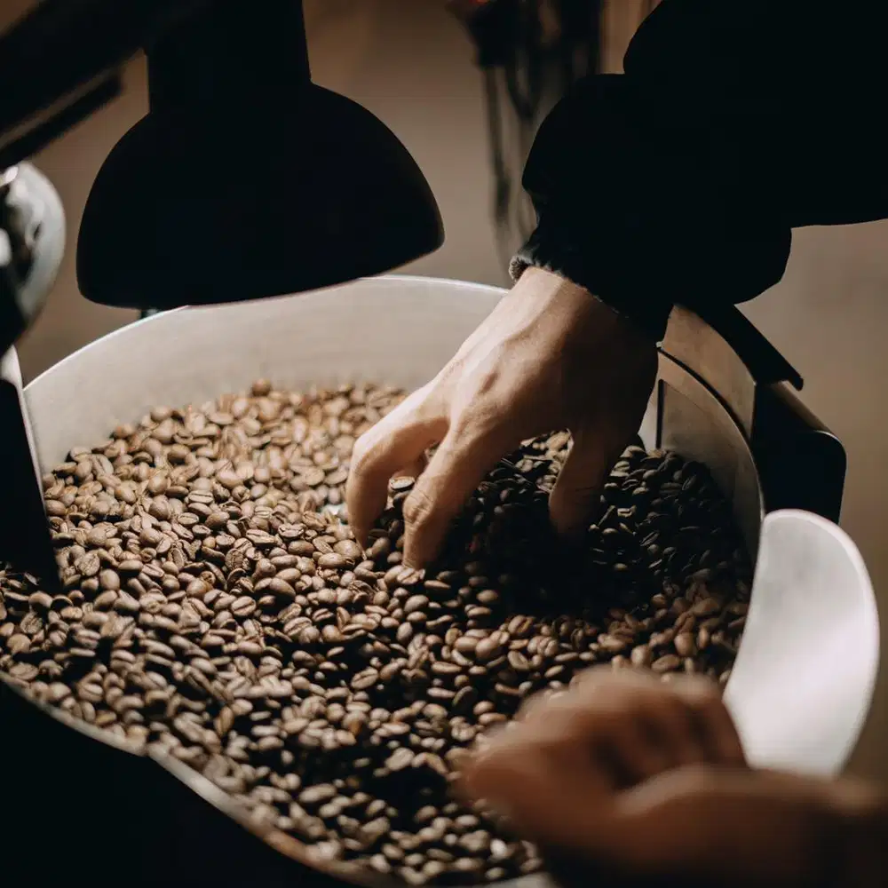 Photographer Bali & Banyuwangi