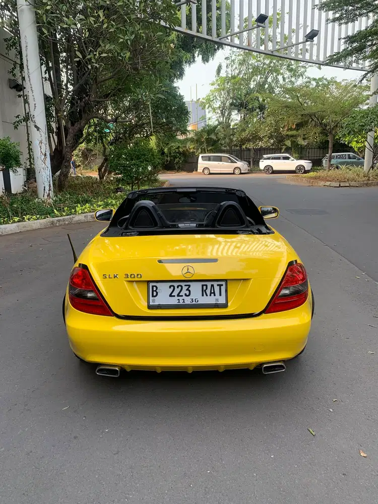 Mercedes-Benz SLK300 2010 Bensin
