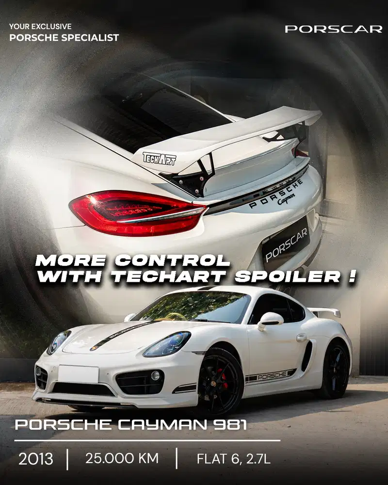 PORSCHE CAYMAN 981 2013 WITH TECHART UPGRADE STYLE