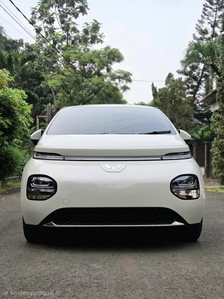 Wuling Cloud EV 2026 ccs2 460km
