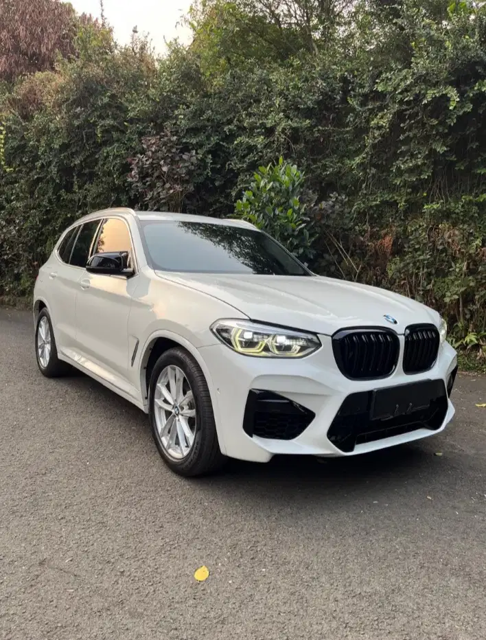 BMW X3 2019 Bensin
