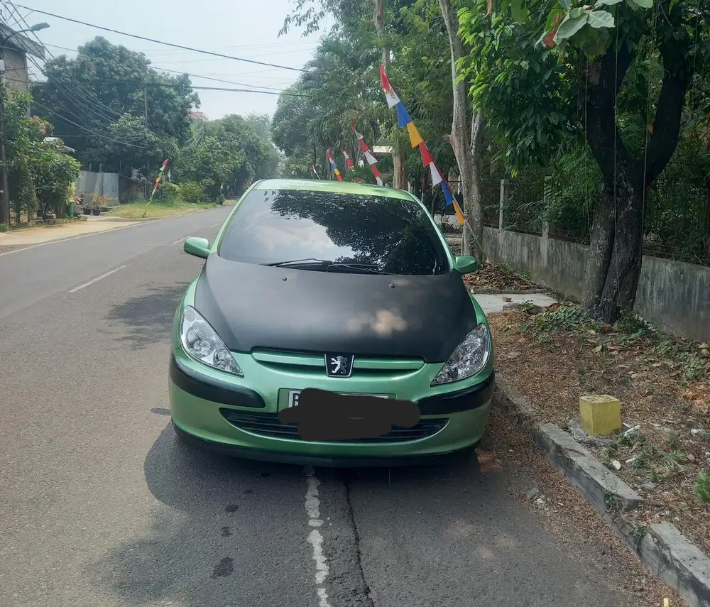 Peugeot 307 2004 Bensin