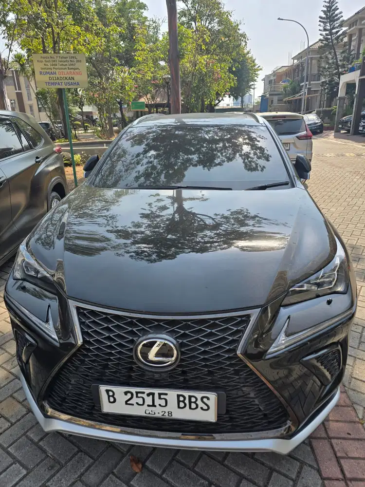 Lexus NX300 2018 Bensin