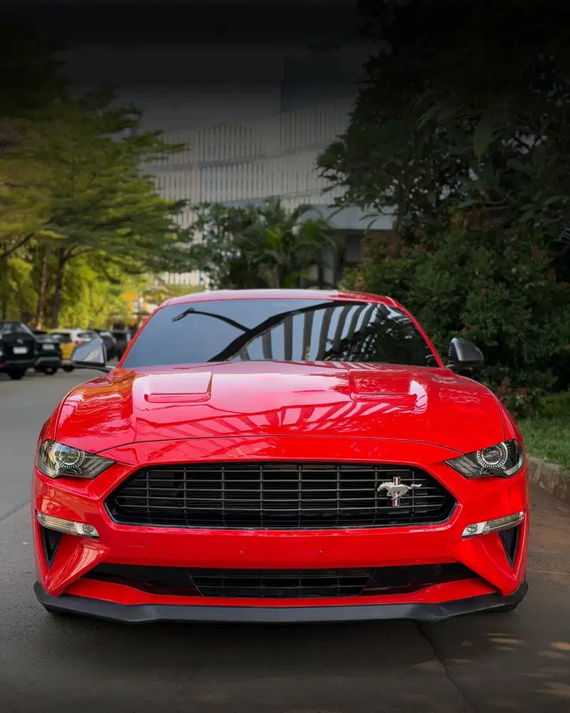Ford Mustang 2.3 Ecoboost High Performace 2021