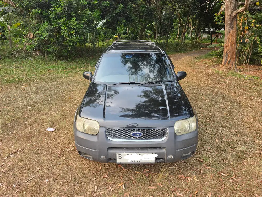 Ford Escape 2004 Bensin