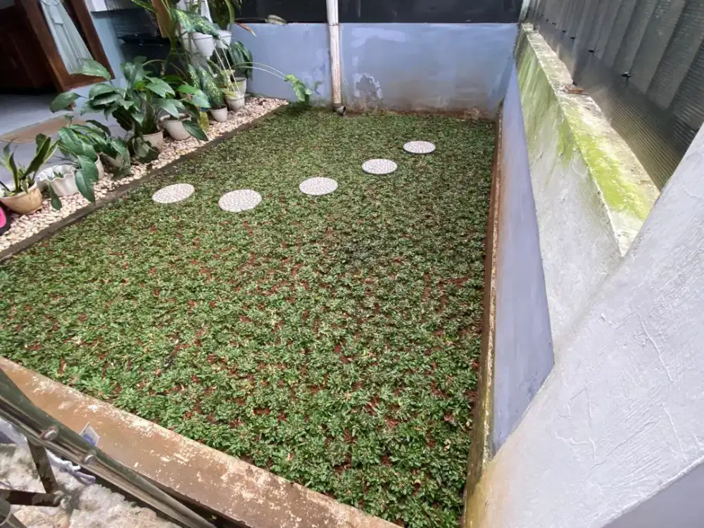 Tukang rumput di Jagakarsa/ tukang taman di Jagakarsa