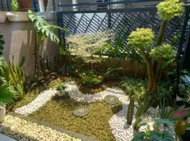 Jasa taman/pembuatan taman