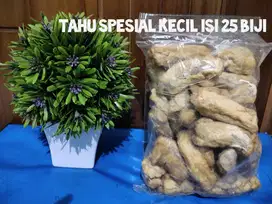 TAHU SPESIAL SAPI ISI 25 BIJI