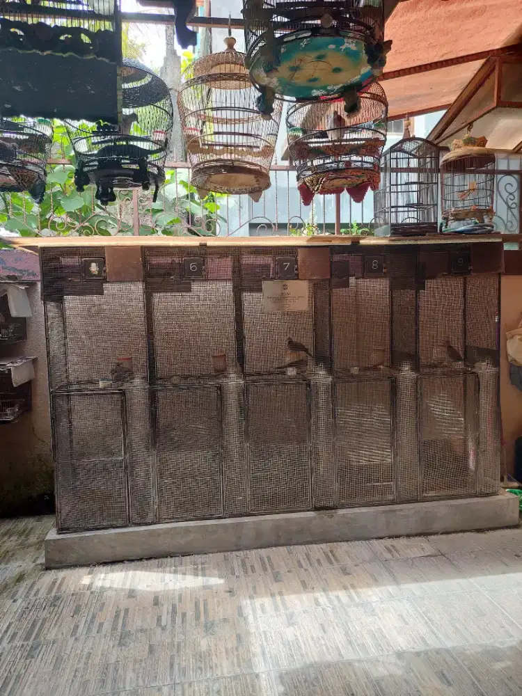 Kandang burung aluminium panjang 3 mtr x T 180 x lebar 70 cm,2 tingkat