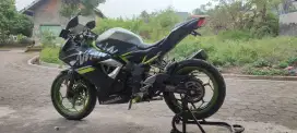KAWASAKI NINJA 250 SL MONO