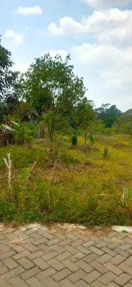 Kavling Gunungpati Top Lokasi Dekat Kampus UNNES Semarang