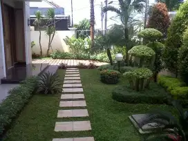 Tukan Taman Hias Dan Kolam