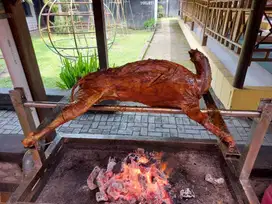 KAMBING GULING JOGJA