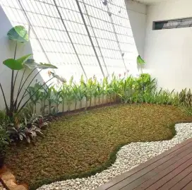 Jasa pemasangan taman pembuatan taman rumah Tukang taman