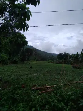 TANAH 1,38 HKTAR MURAH  STRATEGIS PINGGIR JALAN UNTUK PERUMAHAN GERUNG