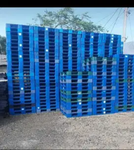 Pallet plastik bekas murah