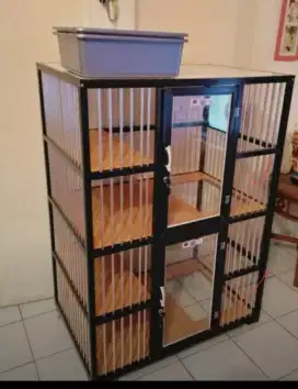 Kandang kucing 62