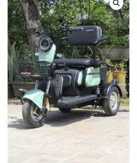 RODA3 EXOTIC SIERRA