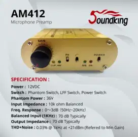 Microphone preamp soundking AM 412