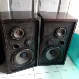 Speakeer Philips woofer 10inch mulus.