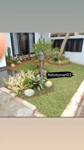 Taman rumah rumput gajah mini